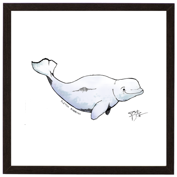 Beluga whale print