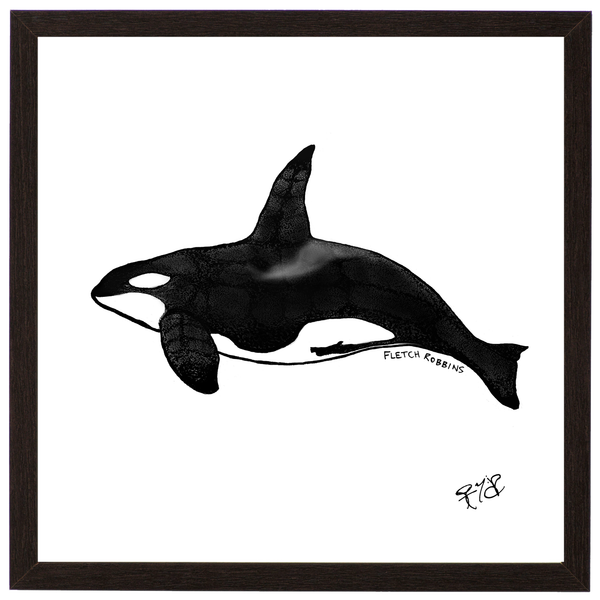 Orca whale print