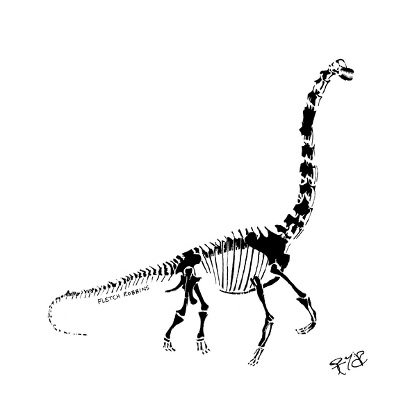 Brachiosaurus Fossil Print