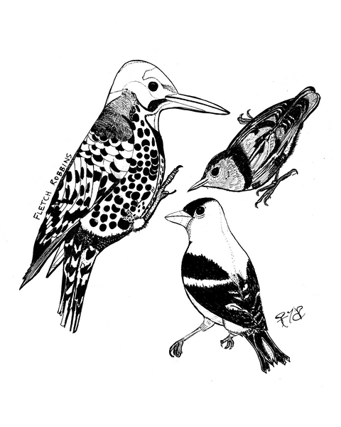 Three Birds - print