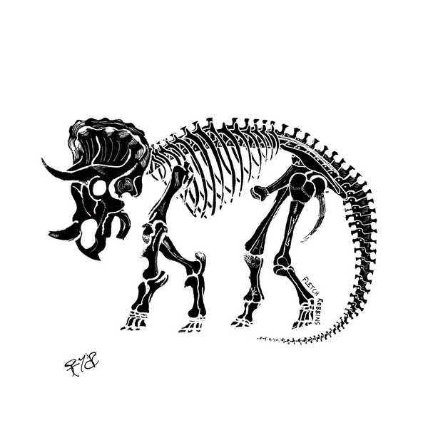 Triceratops Fossil Print