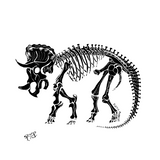 Dinosaur Fossil Print 6-pack